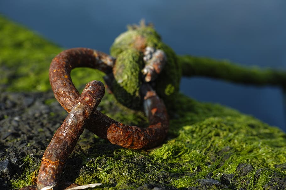 Chain, Old, Marine, Moss, daniel, rusty, photo, water, environmental HD wallpaper
