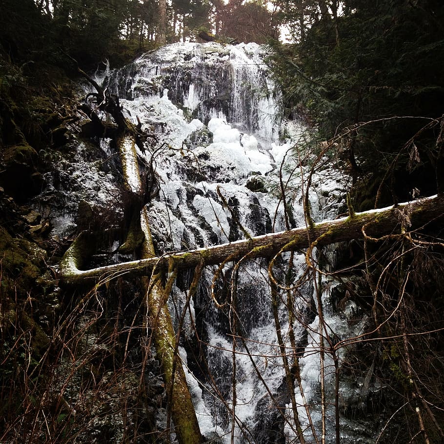 waterfall, cold, winter, environment, nature, forest, stream HD wallpaper