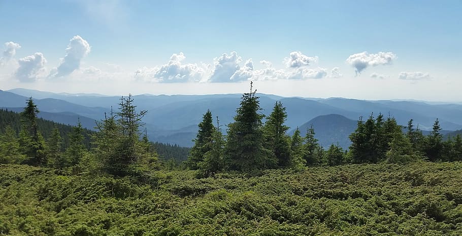clouds, trees, vegetation, blue, scenic, outdoor, nature, mountain HD wallpaper