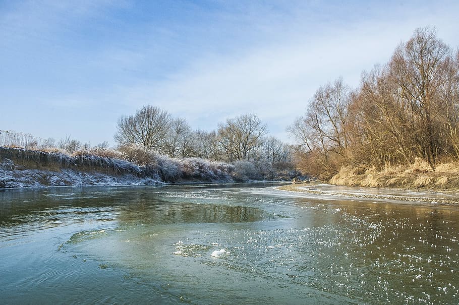 water, nature, tree, winter, river, sky, tranquility, plant HD wallpaper