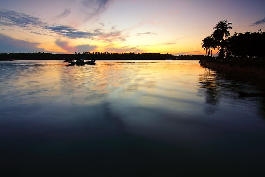 sea, dawn, landscape, nature, beach, coconut tree, driver, dusk HD wallpaper