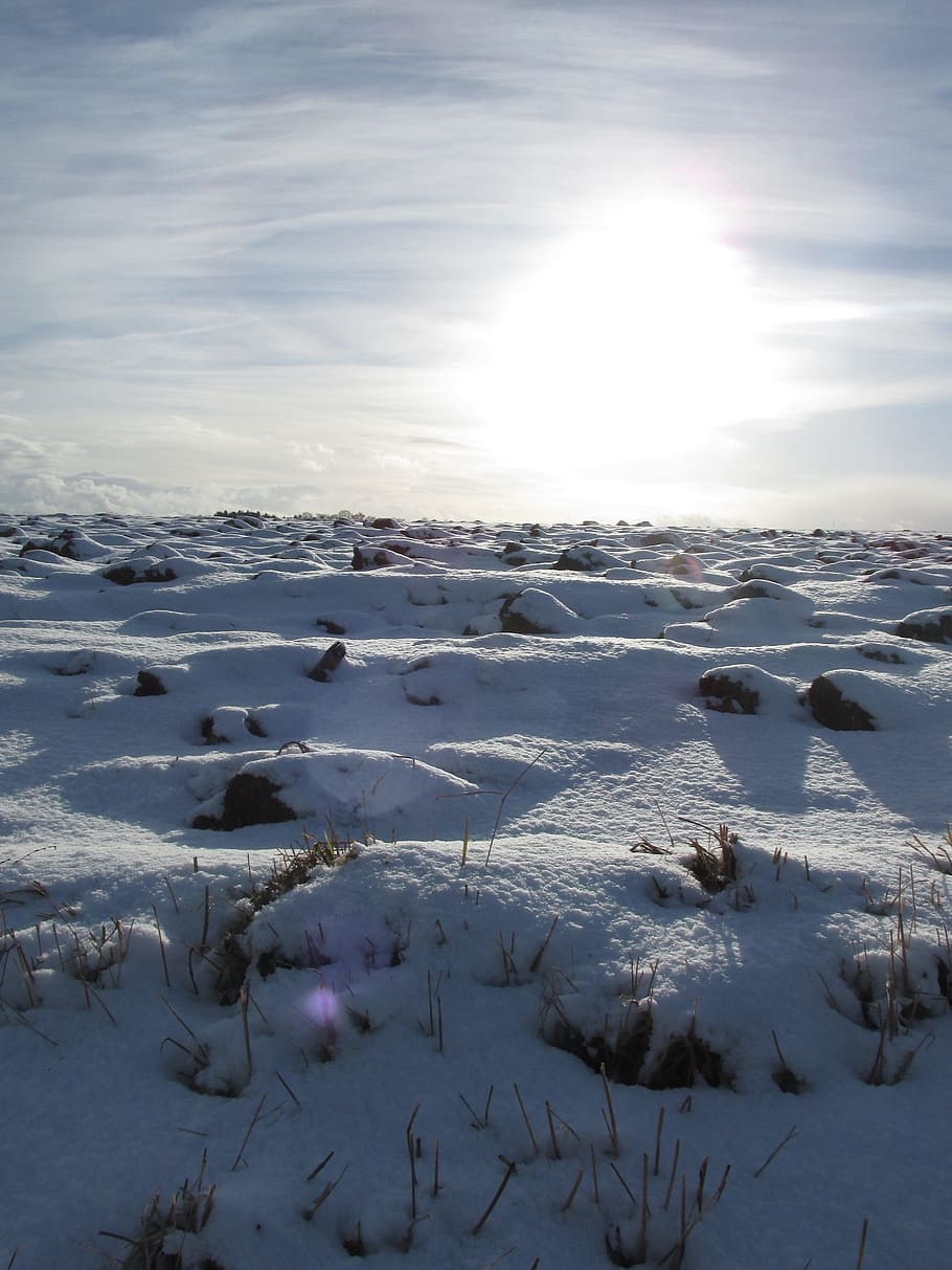 snow, winter, ice, cold, landscape, white, nature, cold temperature HD wallpaper