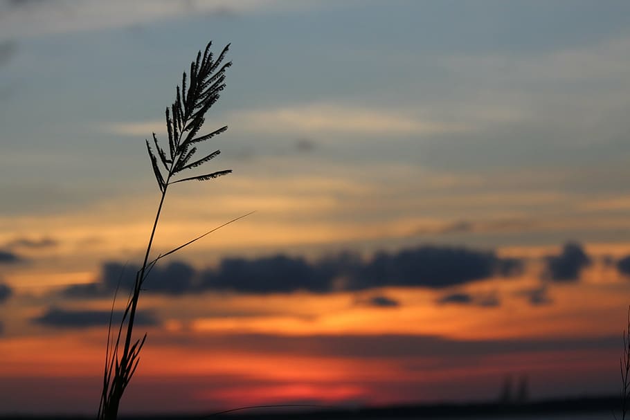sunset, clouds, blue, landscape, evening, orange, silhouette HD wallpaper