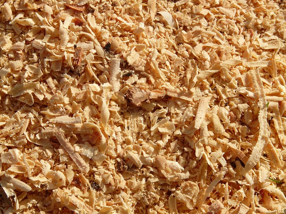 pile of shredded woods, sawdust, woodworks, timber, logging, growing stock
