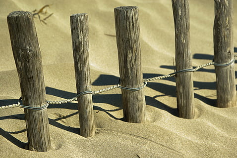 dunes-stakes-sand-thumbnail.jpg