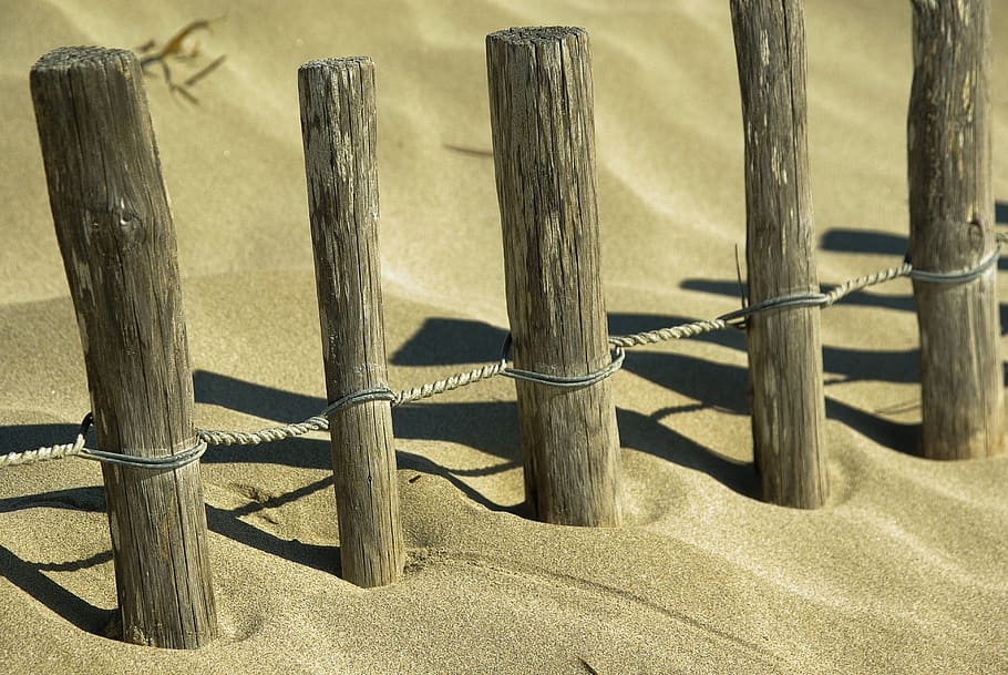 dunes-stakes-sand.jpg