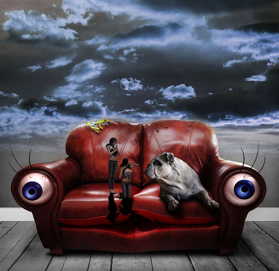 two women on sofa beside dog, surreal, clouds, pet, animal HD wallpaper