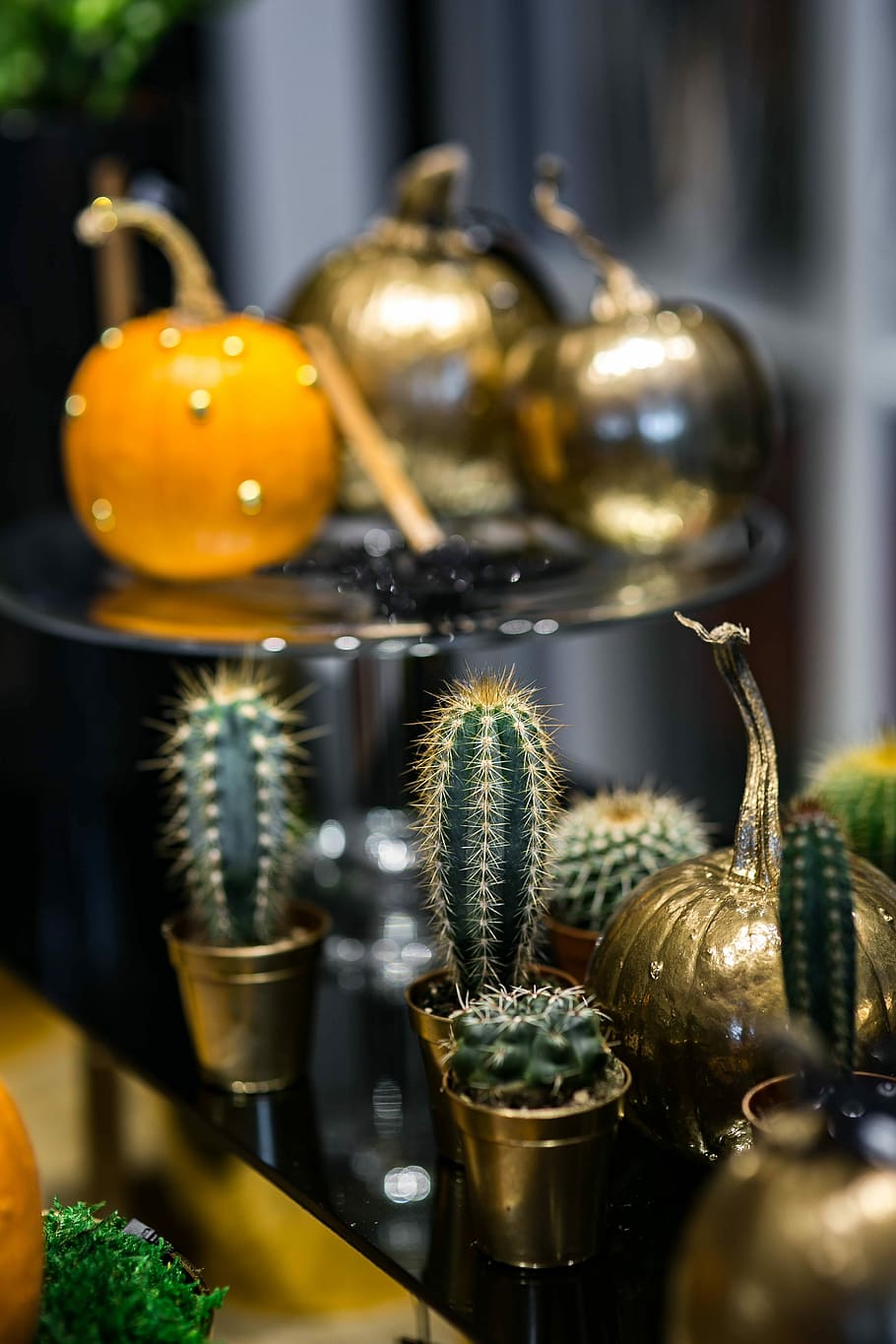 Golden ornamental pumpkins with cactuses, ornaments, baubles