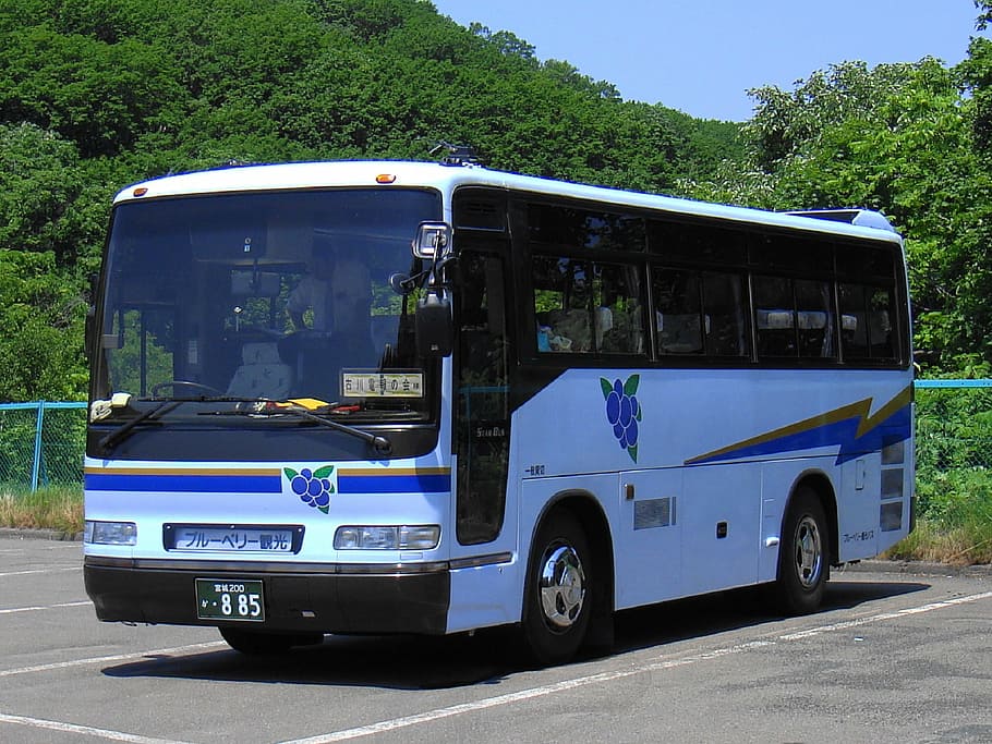 white and black passenger bus parked during daytime, motorcoach, HD wallpaper