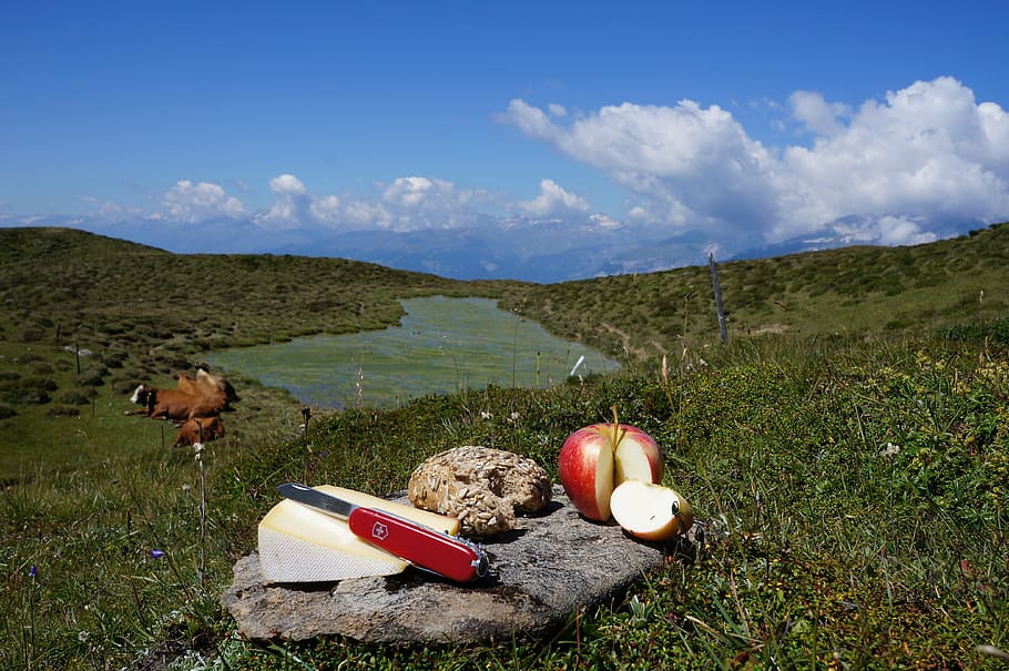 break, jause, apple, refreshment, snack, palate tickling, leisure HD wallpaper