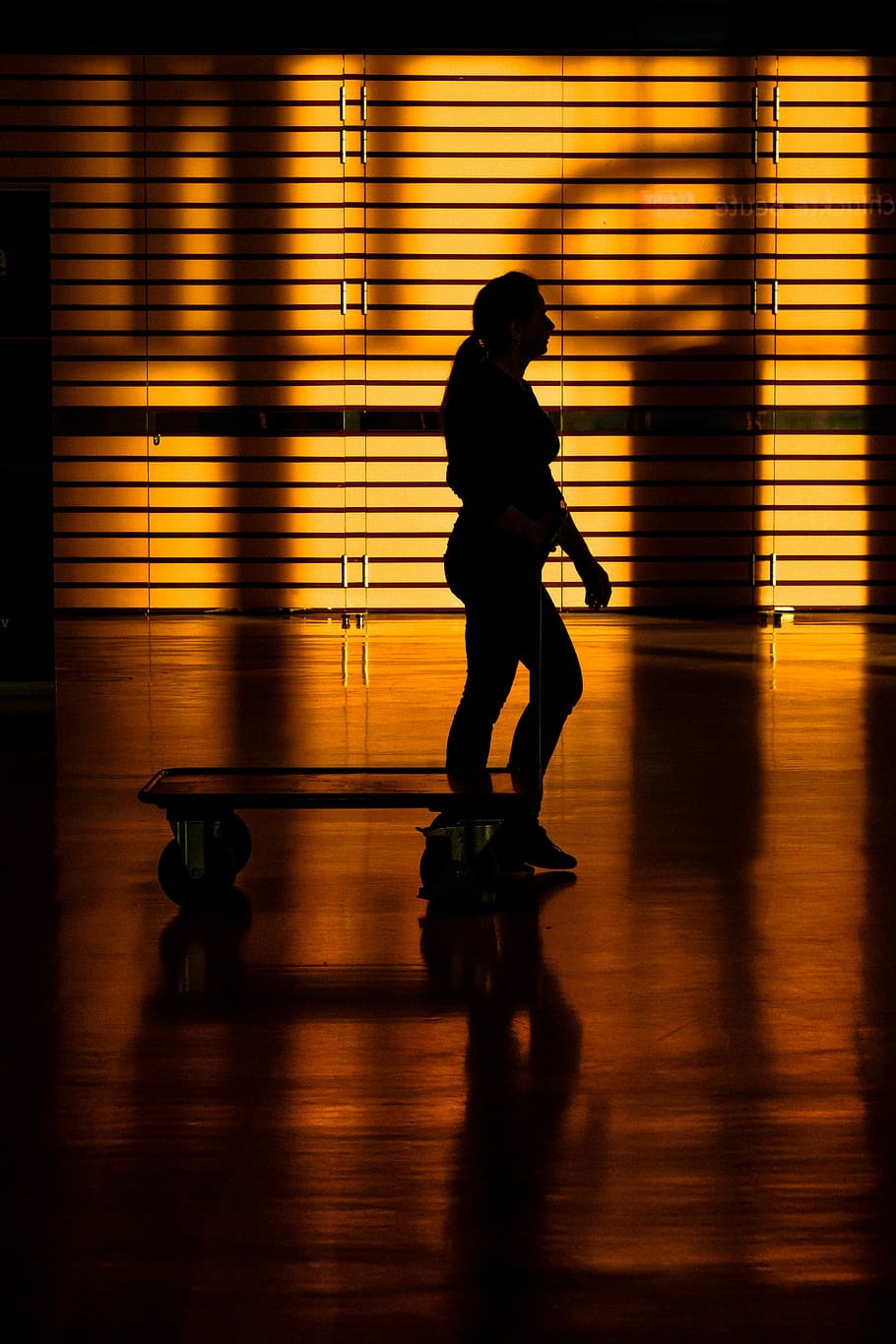 woman using pushcart, silhouette of person, sunlight, room, studio HD wallpaper