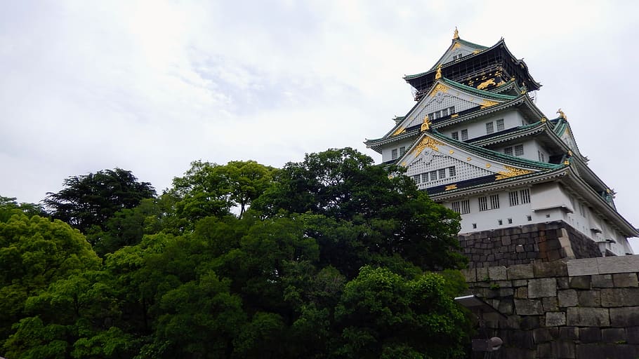 temple, japane, history, tree, plant, architecture, built structure HD wallpaper