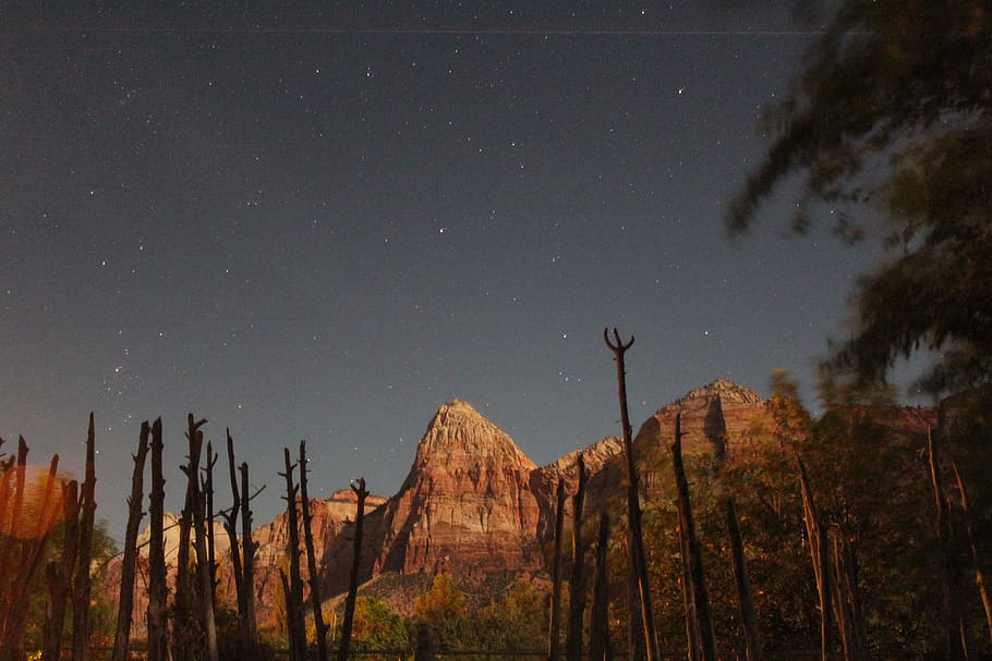 silhouette photo of leafless tree beside rock formation, mountains and stars during sunset HD wallpaper