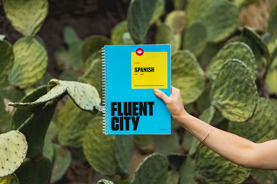person holding Fluent City book, person holding blue book, communication HD wallpaper