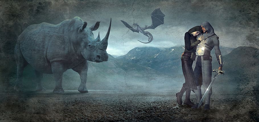 man holding sword near grey rhino painting, fantasy, dragons