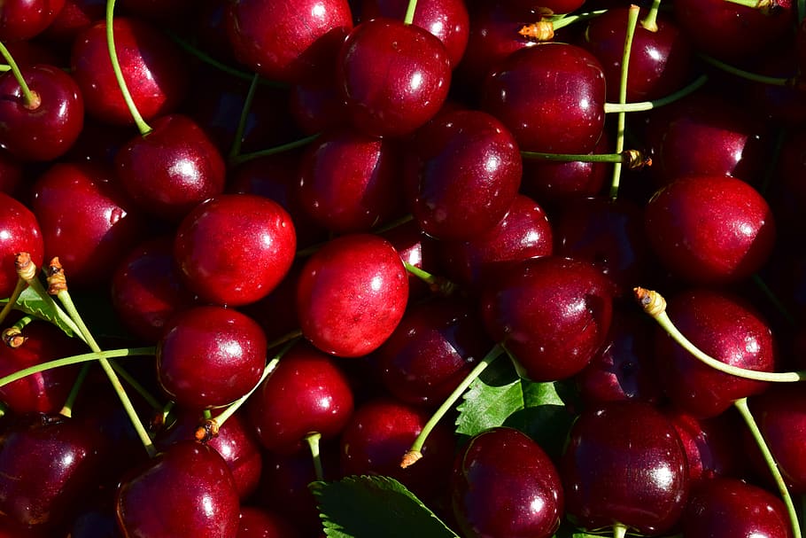cherries, close, nature, fruit, red, delicious, food, macro HD wallpaper