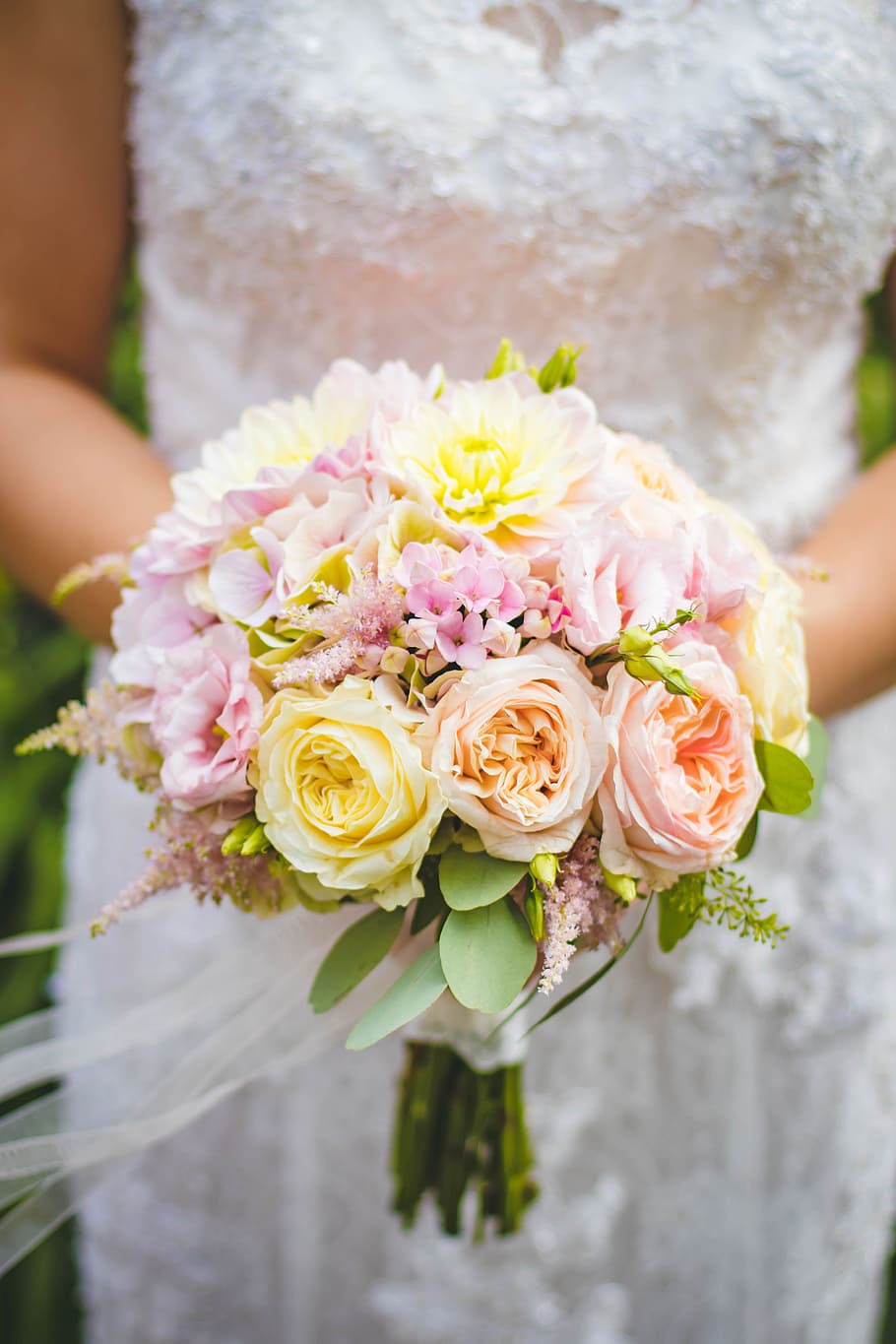 flowers, petals, blur, leaves, beautiful, bloom, blooming, bouquet HD wallpaper
