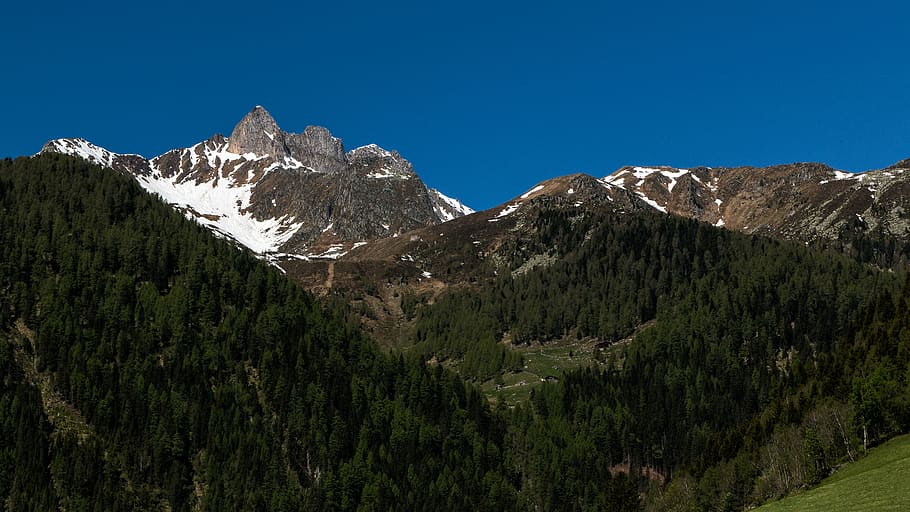 mountain, mountains, sky, alpine, forest, landscape, tyrol HD wallpaper