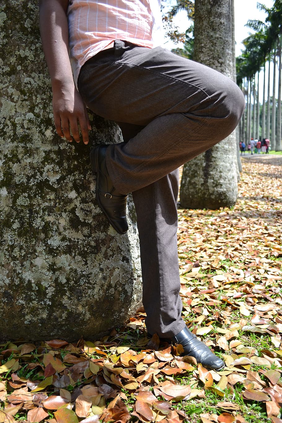 sri, lanka, sad, boy, jeans, peradeniya, garden, youth, real people HD wallpaper
