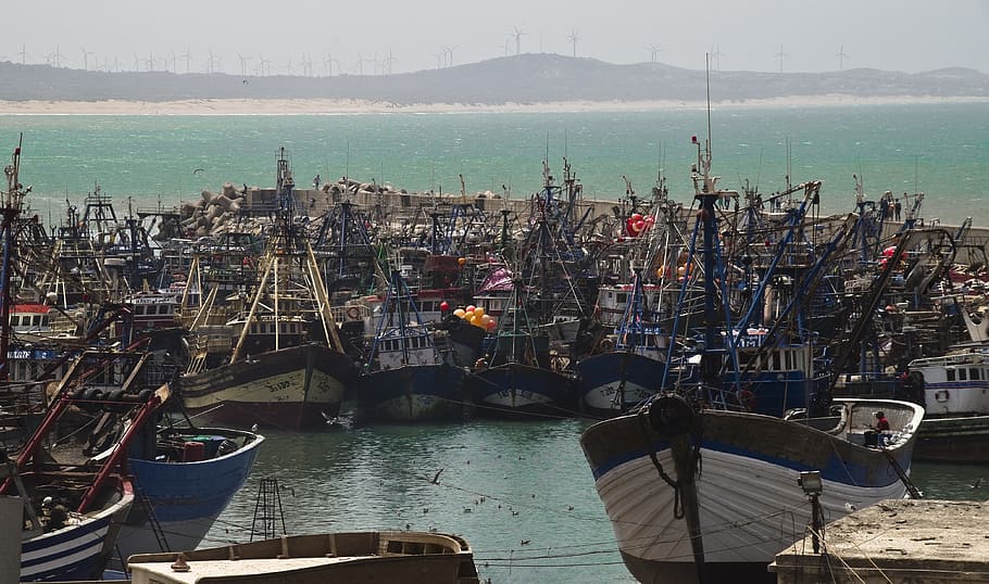 Port, Fishing Boats, Morocco, Essaouira, sea, boats in the harbor, HD wallpaper