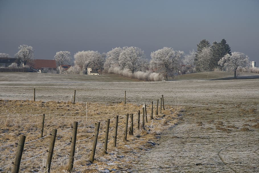 nature, sky, tree, landscape, winter, plant, fence, boundary HD wallpaper