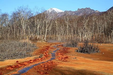 hot spring, forest, mountains, boiling water, silence, kamchatka HD wallpaper