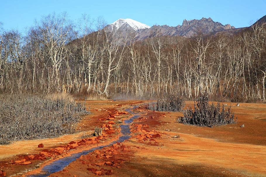 hot spring, forest, mountains, boiling water, silence, kamchatka HD wallpaper