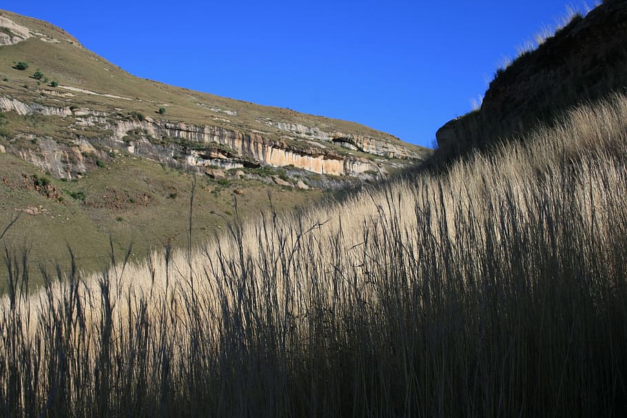 Drakensberg Mountains, Grass, Veld, blue sky, green, dry grass, HD wallpaper