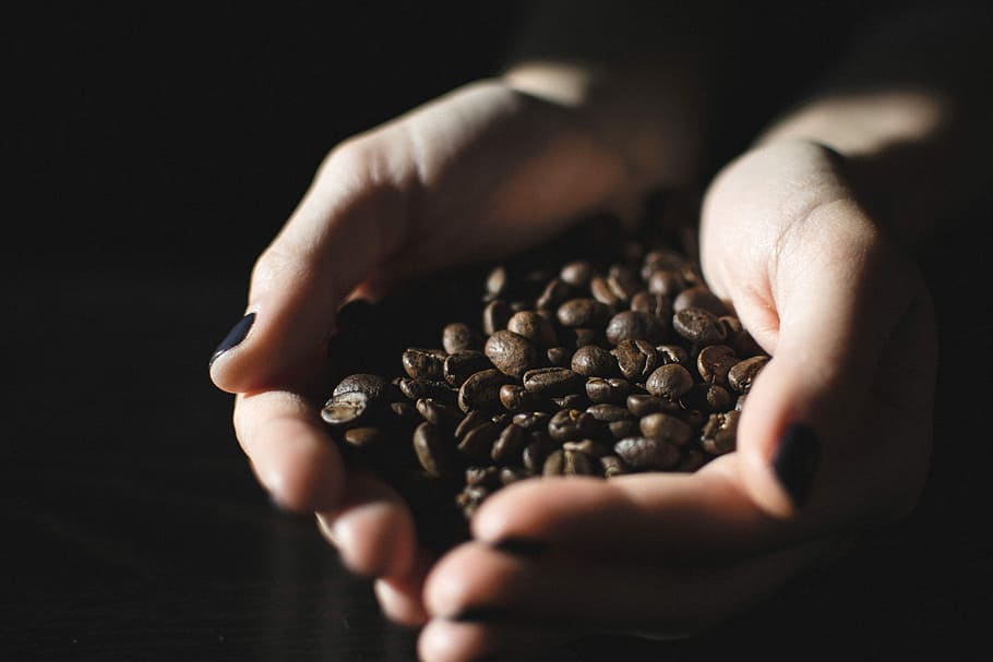 stack of coffee beans on person's hand, person holding coffee beans