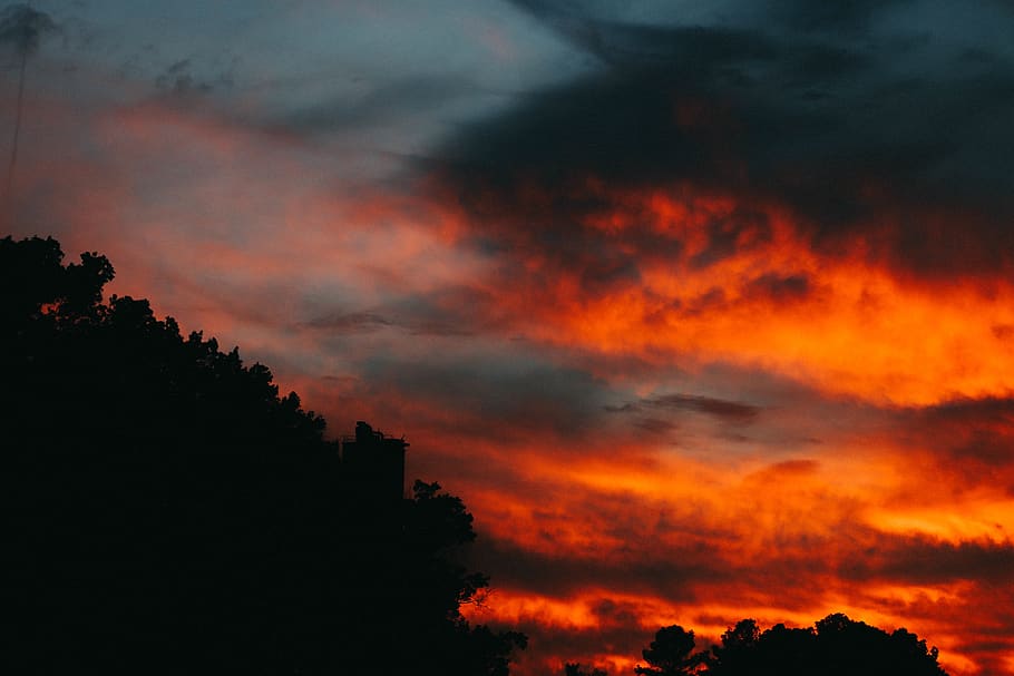 dark, sky, clouds, sunset, tree, silhouette, cloud - sky, scenics - nature HD wallpaper