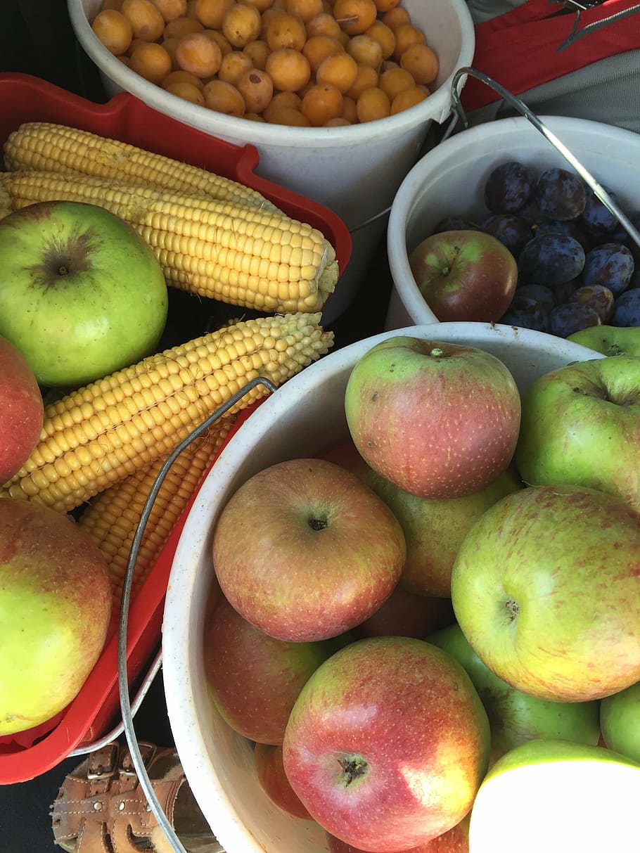 fruit, apple, corn, harvest, organic, eco, bio, food and drink HD wallpaper