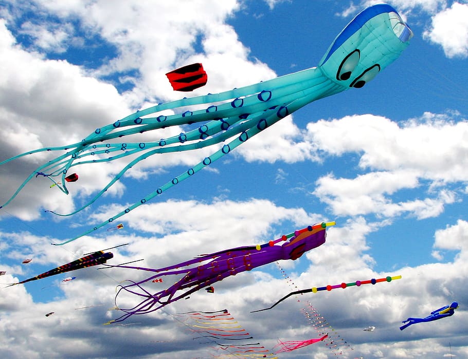 kites, sky, fun, summer, blue, wind, fly, colorful, flying HD wallpaper