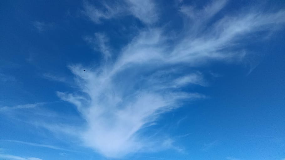 blue sky, white cloud, photo, cloud - sky, beauty in nature HD wallpaper