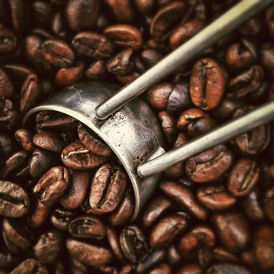 restaurant, beans, caffeine, coffee, fresh, kitchen, morning HD wallpaper