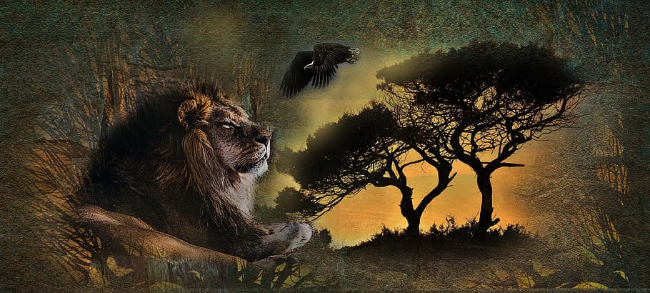 lion beside tree painting, nature, leo, art, living nature, animals