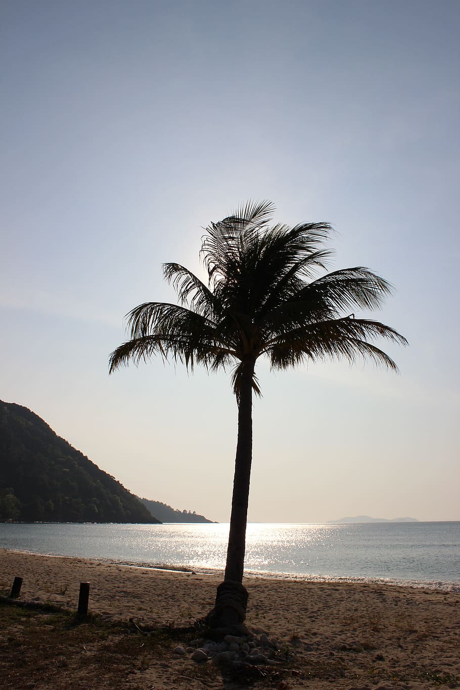 palm trees, beach, thailand, palms, tropical, summer, sea, travel, HD wallpaper