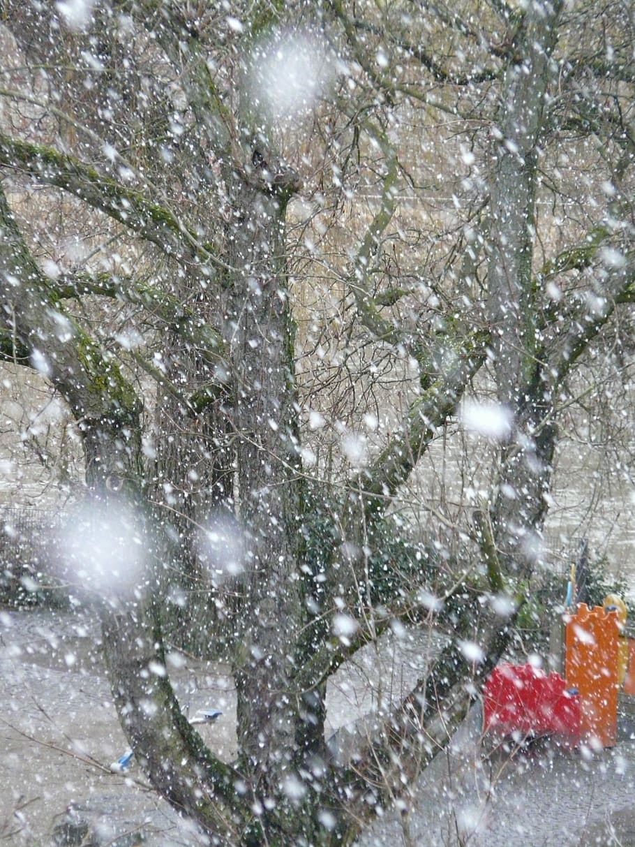 Snowfall, Snowflakes, Blizzard, winter, winter dream, cold HD wallpaper
