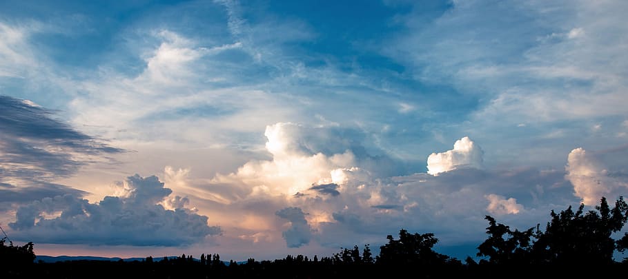 silhouette of trees under blue and cloudy sky at sunset, the sky HD wallpaper