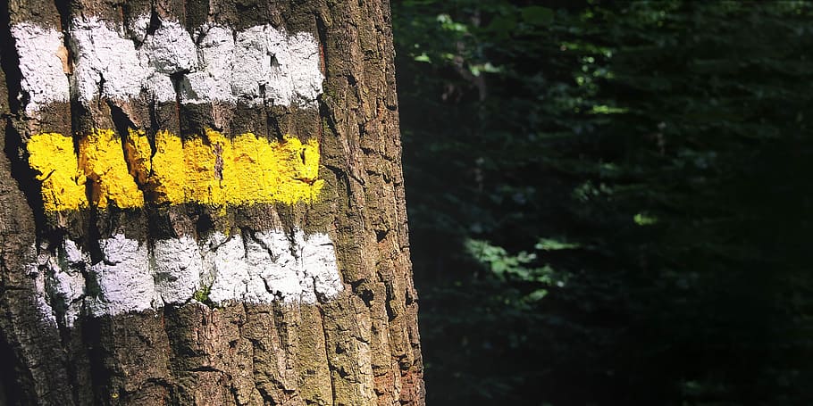 Directory, Forest, Characters, Nature, hiking, migratory character HD wallpaper