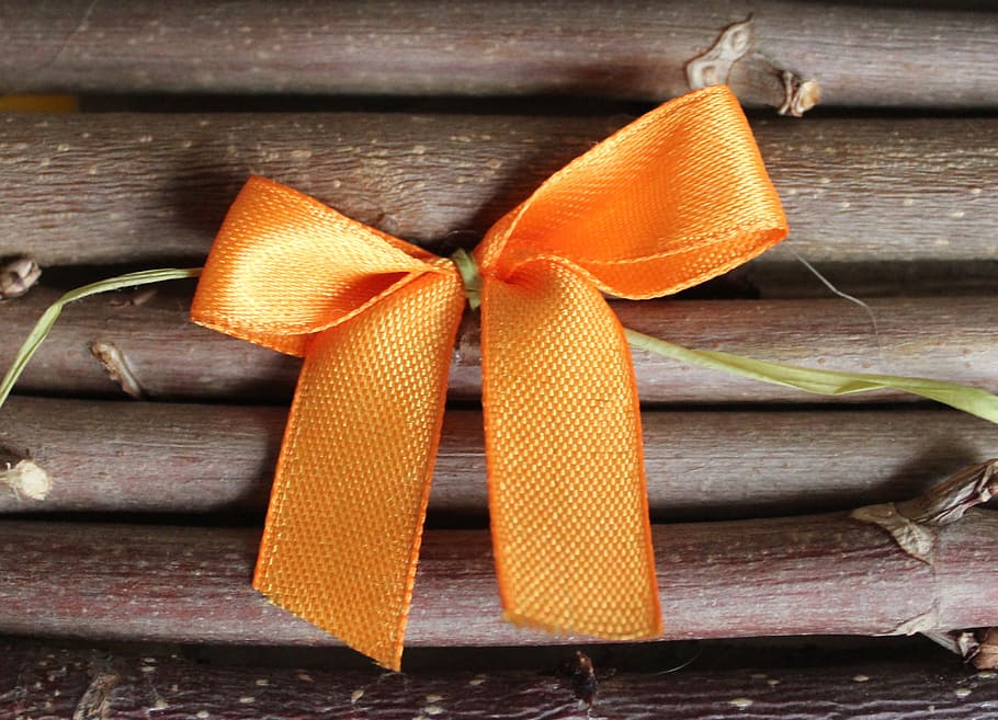 close-up photo of orange bow on brown stems, decoration, decorative elements HD wallpaper