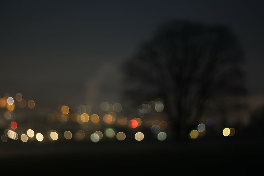 untitled, bokeh, tree, night, city, out of focus, dark, aesthetic