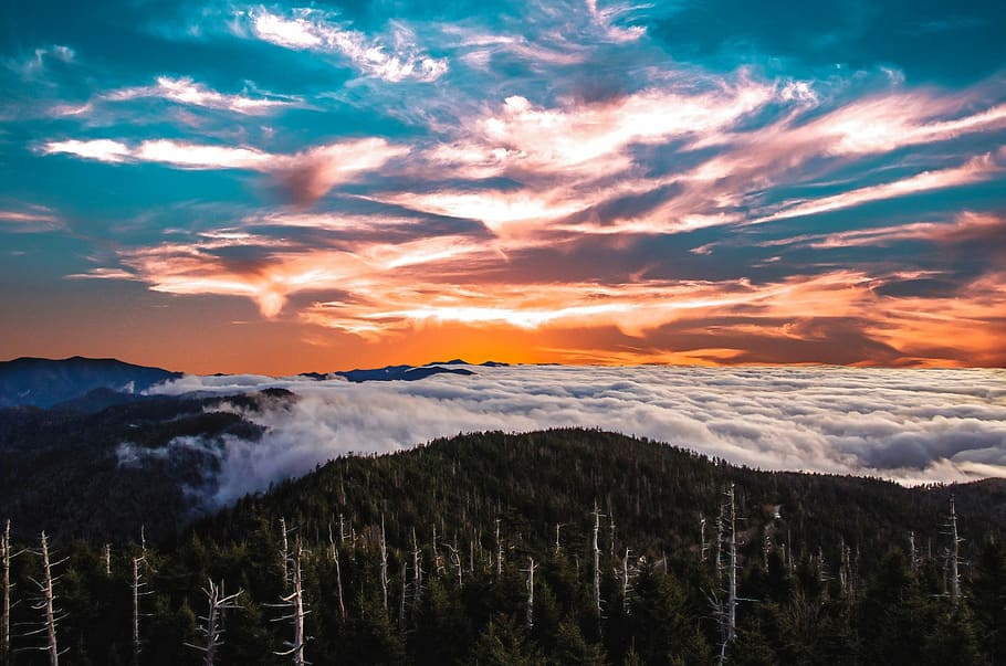 mountain painting, sunset, scenic, landscape, cloud, trees HD wallpaper