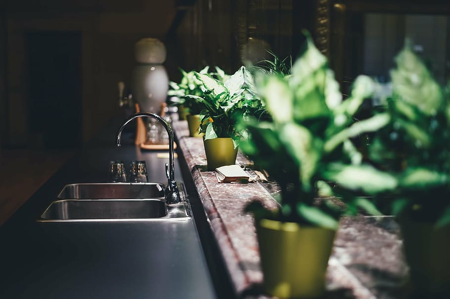 green leaf plant, blur, close-up, comfort room, faucet, furniture, HD wallpaper