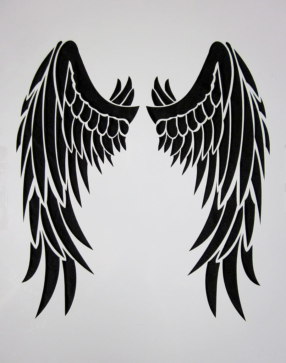 black Angel wing painting, feather, bird, black wings, black engel