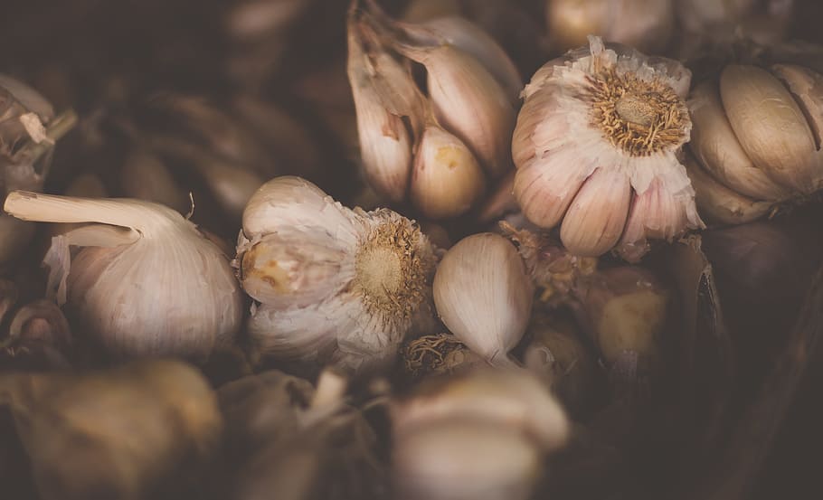 garlic, vegetable, spices, herbs, food, flavor, food and drink HD wallpaper