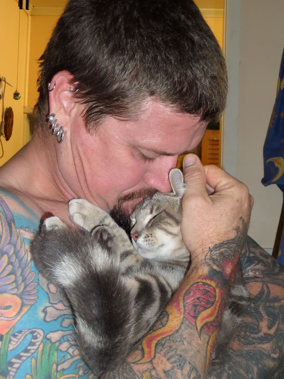man hugging two brown tabby cats, feline, pet, kitten, cute HD wallpaper