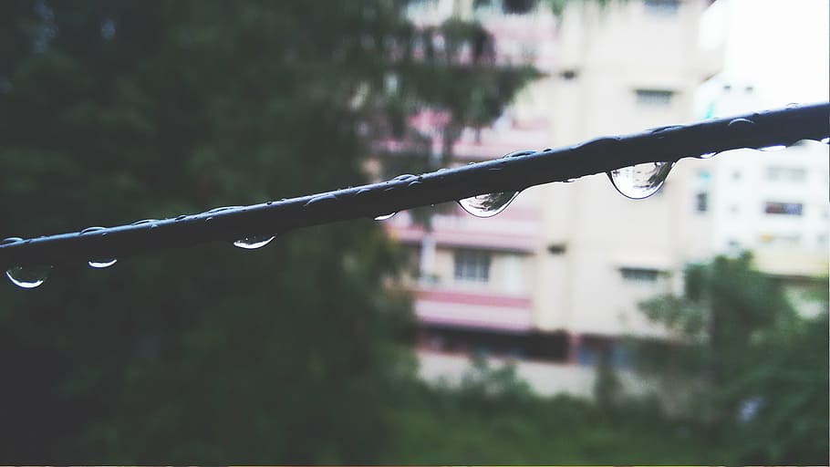 building, close-up, droplets, drops, macro, outdoors, rain HD wallpaper