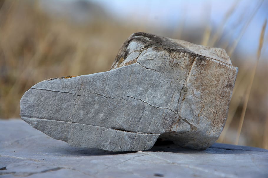 kennedy, stone, macro, texture, the stones are, rocky, background HD wallpaper