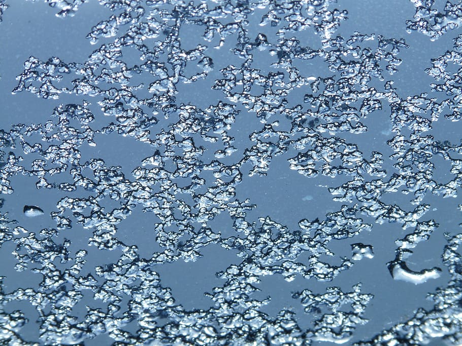 hardest, window, ice, eiskristalle, frozen, no people, water HD wallpaper
