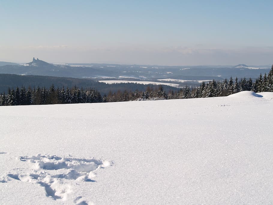 winter, snow, white, cold temperature, tranquil scene, tree HD wallpaper